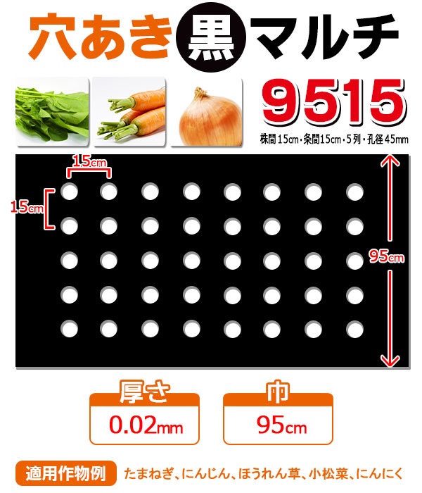 【楽天市場】【マルチ】 ホール黒マルチミシン目付 野菜全般 1m