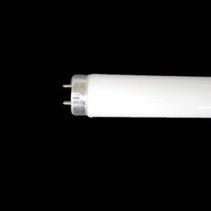 パナソニック 直管螢光灯 40W形 昼光色 ラピッド打ちかかる形 内面導電外膜遣りくち 節電手合い [10本書き割り] FLR40S･D/M-X･36-10SET
