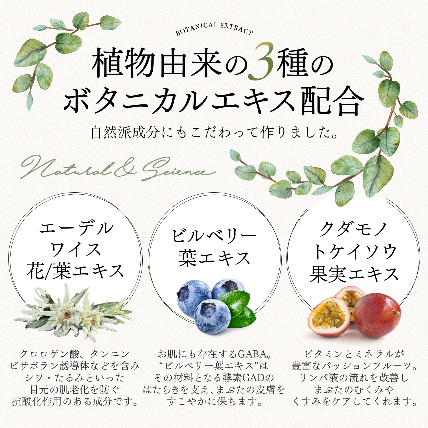 市場 市場クラウドファンディング ワイドラッシュ リデンシル まつ毛美容液 エミビ Emibi に 目もと ダブルアプローチ まつ毛 15ml キャピキシル