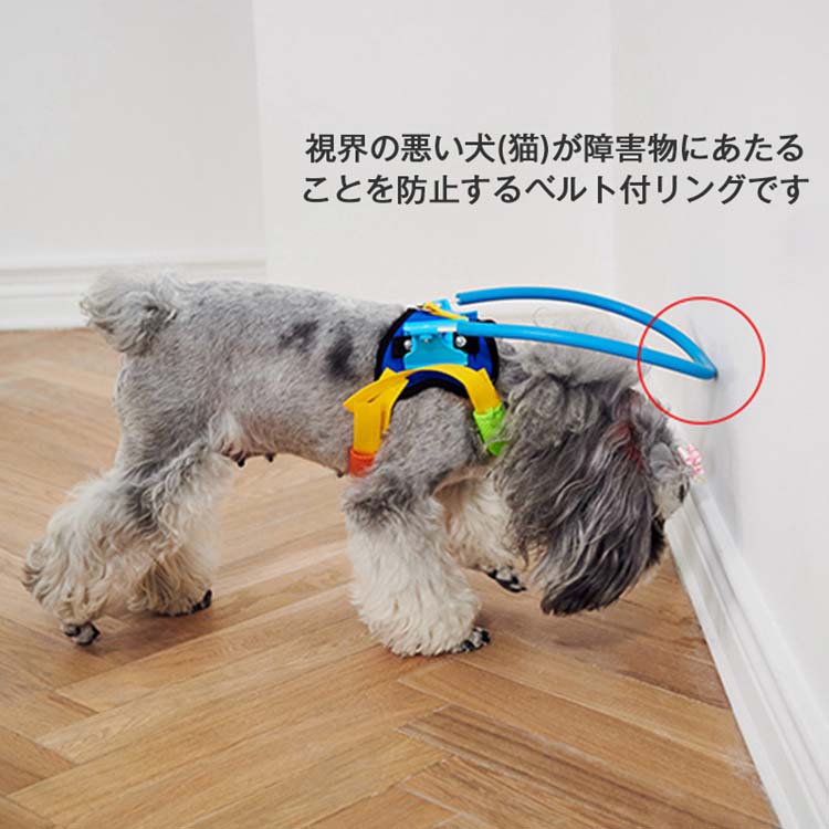 楽天市場】「ペット用盲目リング 衝突防止リング 盲導リング