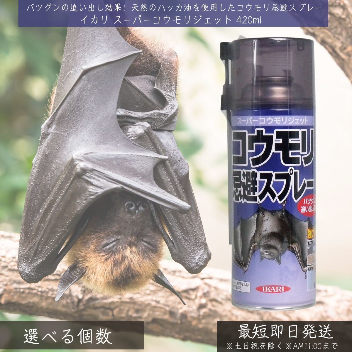 【楽天市場】イカリ スーパーコウモリジェット 420ml │ イカリ消毒 IKARI コウモリ こうもり 蝙蝠 コウモリ忌避スプレー コウモリ ...