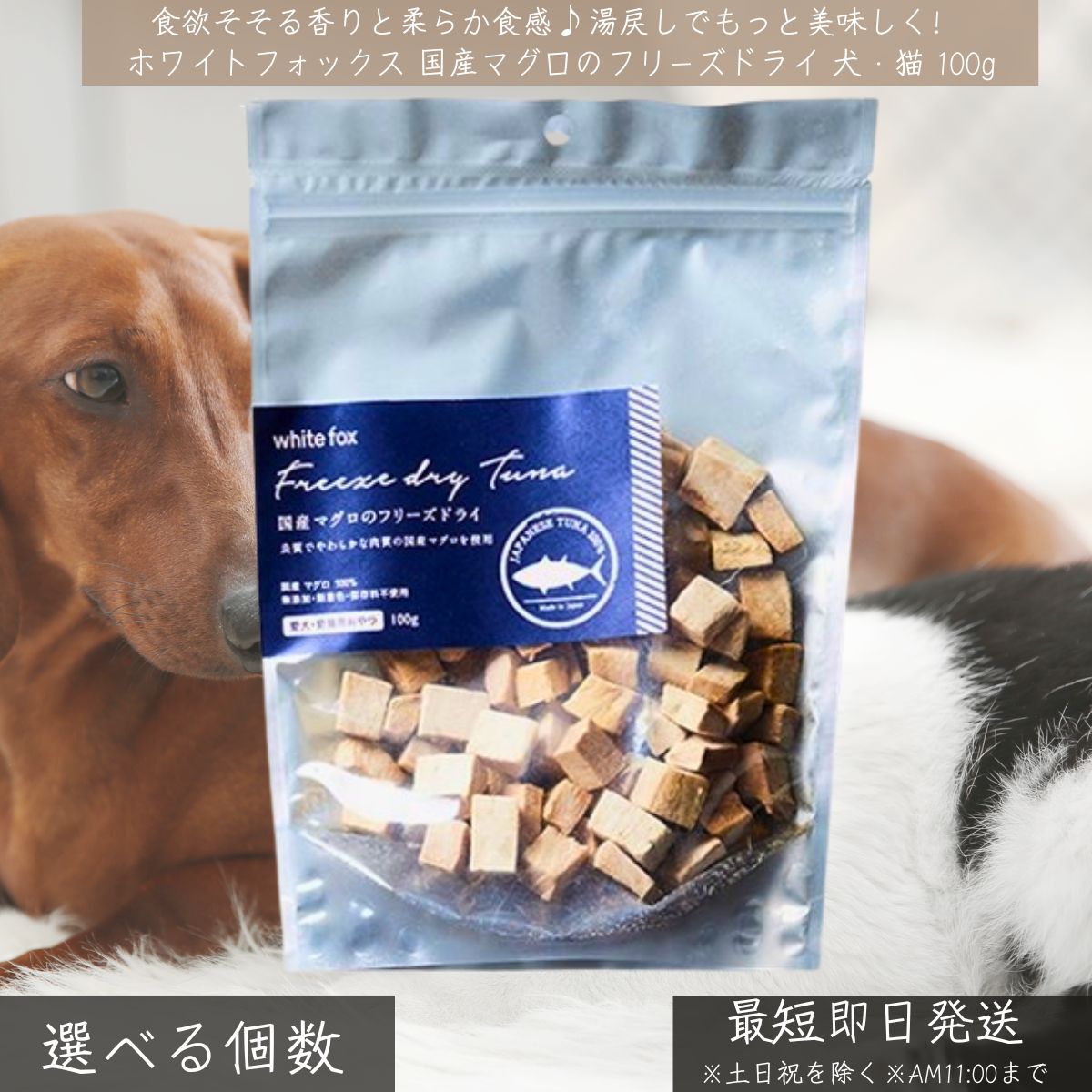 国産マグロ フリーズドライ 犬 猫 おやつ 100g │ 無添加 高たんぱく 低脂肪 ヘルシー トッピング ご褒美 シニア ホワイトフォックス WhiteFox メバチ キハダ マグロ トリーツ
