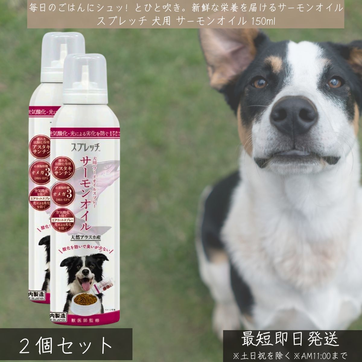 スプレッチ 犬用 サーモンオイル 150ml ×2個セット │ 日本製 DHA EPA オメガ3 アスタキサンチン 食いつきアップ 毛艶 健康維持 心臓 血管 サポート 国産 無添加