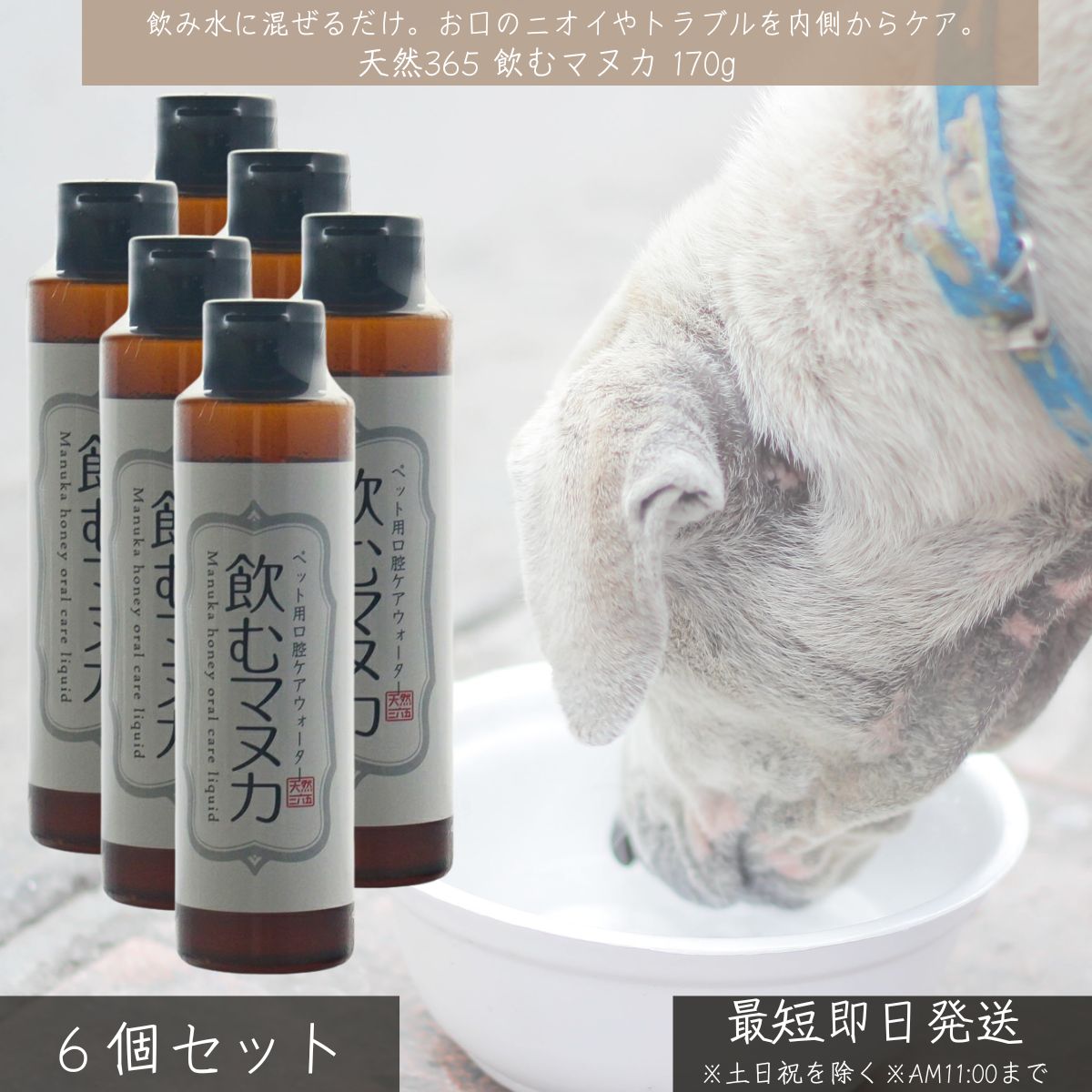天然365 飲むマヌカ 170g ×6個セット │ ペット用 口腔ケアウォーター 犬 猫 マヌカハニー 日本製 歯周病 口臭 ケア 抗菌 滅菌加工 安心 子犬 子猫 シニア対応
