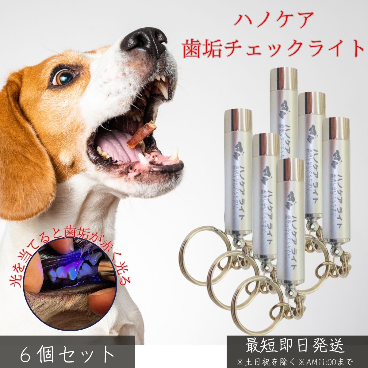 ハノケア チェックライト ×6個セット │ 犬 猫 ペット用 デンタルケア 歯垢チェック 歯磨き残し 防止 口臭 歯周病 対策 お口ケア用品 LEDライト 可視化 軽量 コンパクト ペット用品