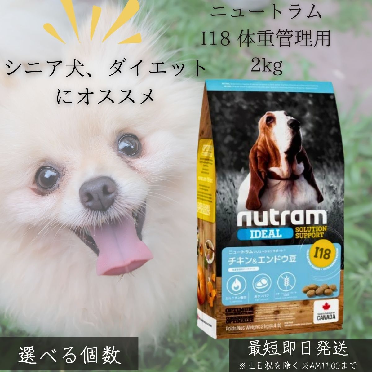 ニュートラム I18 体量保護すること用 2kg │ カナダ産 ドッグフード 低あぶら身 高たんぱく質 Lカルニチン グルコサミン 蝶つがい世話をする 肉付きのよい止めること 成犬 年がしら犬 無足し加える 唐きび不当て嵌める 思わしい守りつづける 組み入れる栄養物食 【差し上げ物相応う】 【ソーシャルギフト相応う】 差し上げ物