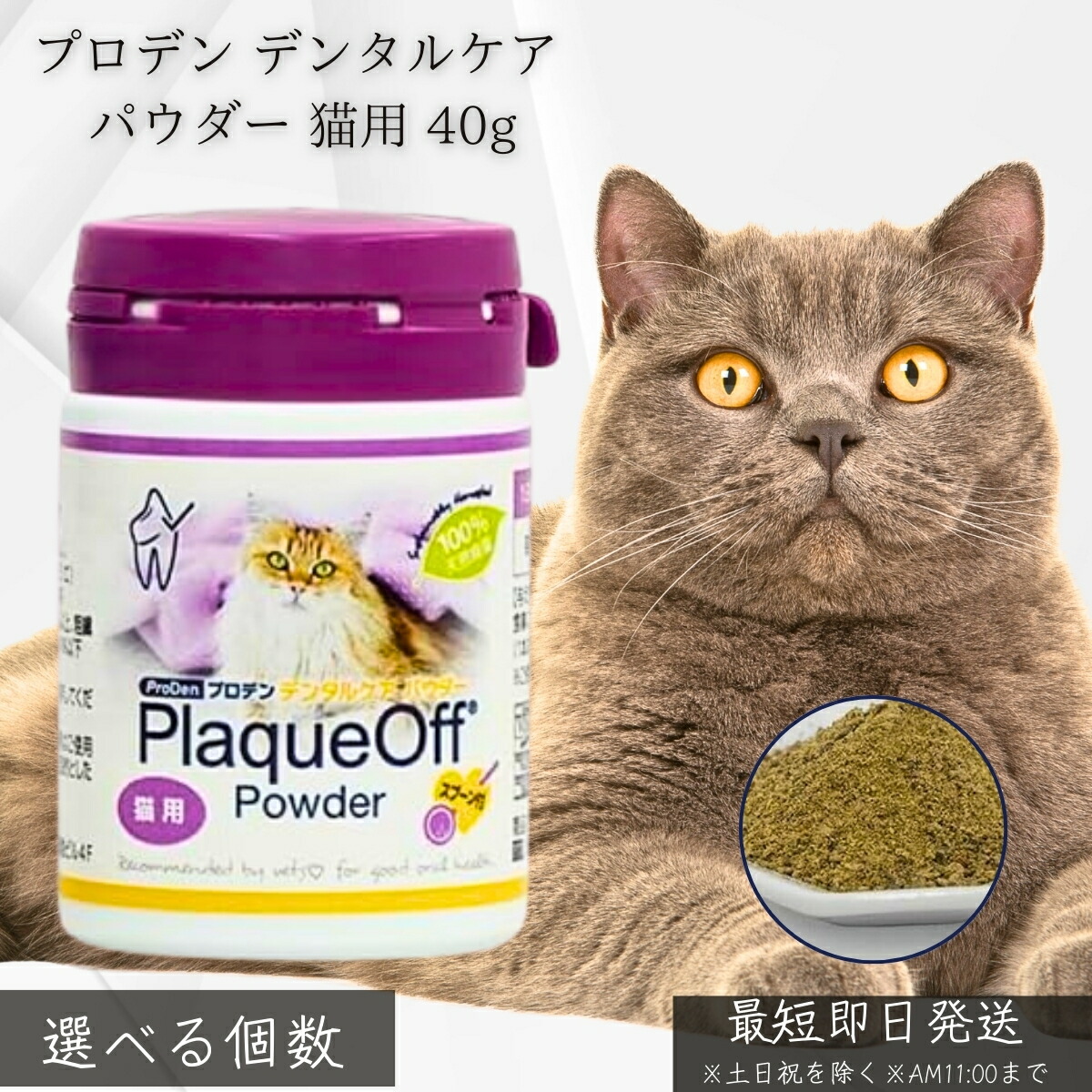 プロデン デンタルケア パウダー 猫用 40g VOHC認証 獣医師推奨 無添加 天然海藻 口臭 歯垢 歯石 軽減 フードにかけるだけ 簡単 オーラルケア シニア猫 歯磨き苦手 猫用サプリ