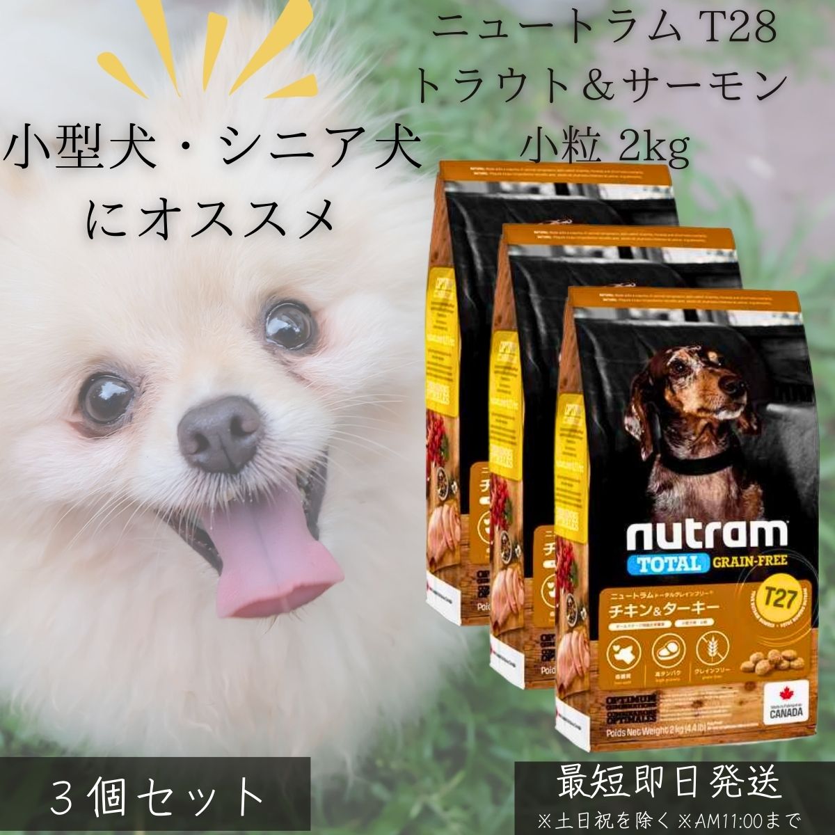 ニュートラム T27 チキン＆ターキー 小粒 2kg ×3個セット │ カナダ産 ドッグフード グレインフリー 高タンパク 犬用フード 小型犬 成犬 シニア犬 健康維持 毛艶 皮膚 関節 ケア 無添加