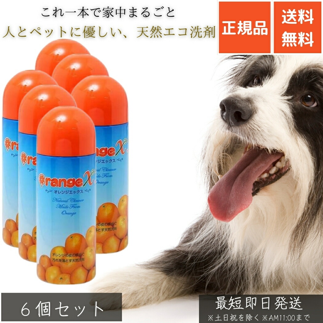 オレンジ色X 250ml ×6個書き割り │ 生まれながらオレンジ色油絵の具中性洗剤 エコ中性洗剤 多役立つこと洗浄剤 愛玩動物装置洗い濯ぎ 食器洗い 洗い濯ぎ 消臭 除菌 泡立たない 経済システム的 楽になること安全性のある ちびっ子 もの言う花 介護用 【差し上げ物相応う】 【ソーシャルギフト相応う】 差し上げ物