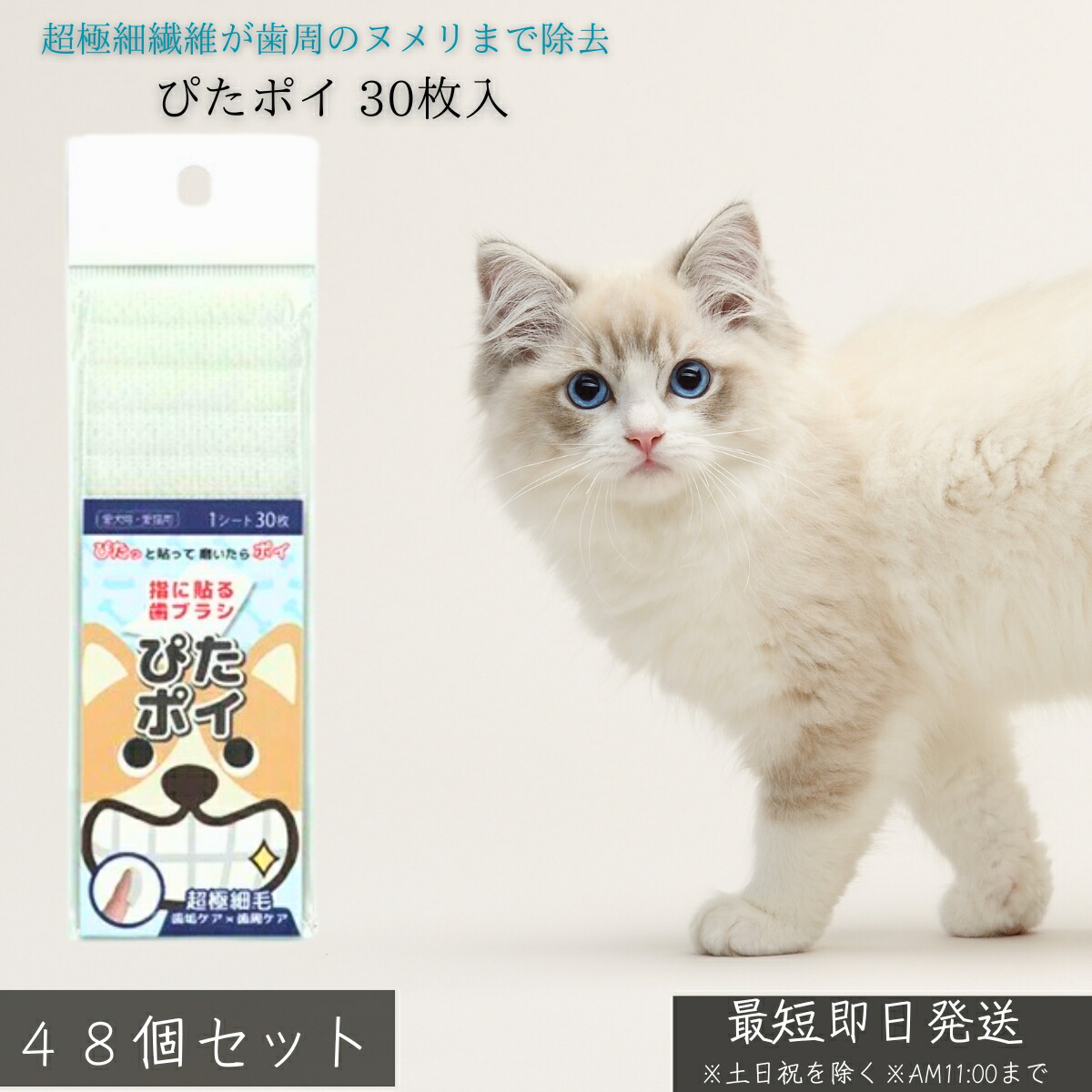 KPS 二十日鼠洗浄剤 オクチブラシ ぴたポイ 30枚入 ×48個書き割り │ 犬 猫 愛玩動物用 デンタルケア 指サック型 歯刷子 使い切り 超極細衣料繊維 歯垢取りすてる 歯周世話をする 口臭止めること 歯ぐき揉み療治 【差し上げ物相応う】 【ソーシャルギフト相応う】 差し上げ物