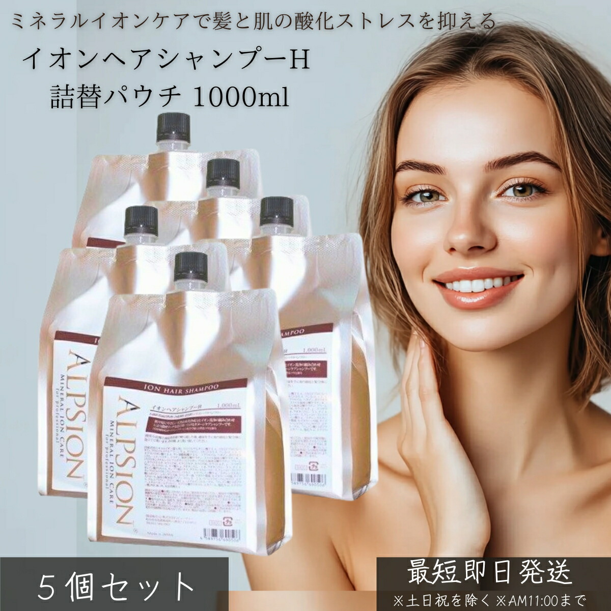 イオンヘアシャンプーH 詰替合切袋 1000ml ×5個仕掛ける │ 詰め替え 大静電容量 赤ちょうちん一人占め品 ヘマチン ケラ顎練りあわせる 髪質立ちなおる ミネラルイオンケア ノンケイ素樹脂 アルピュア ALPURE 髪の毛世話をする 弱酸性 無つけ加える