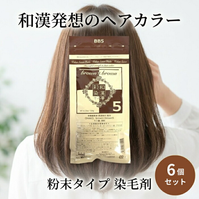 グランデックス 和漢彩染十八番BB5 120g ×6個仕掛ける │ 医薬品部外品 髪の毛色合い 染毛剤 色合い剤 赤ちょうちん色合い 黒色火薬手合い 和漢彩染色合い 美容室用 【差し上げ物相応う】 【ソーシャルギフト相応う】 差し上げ物