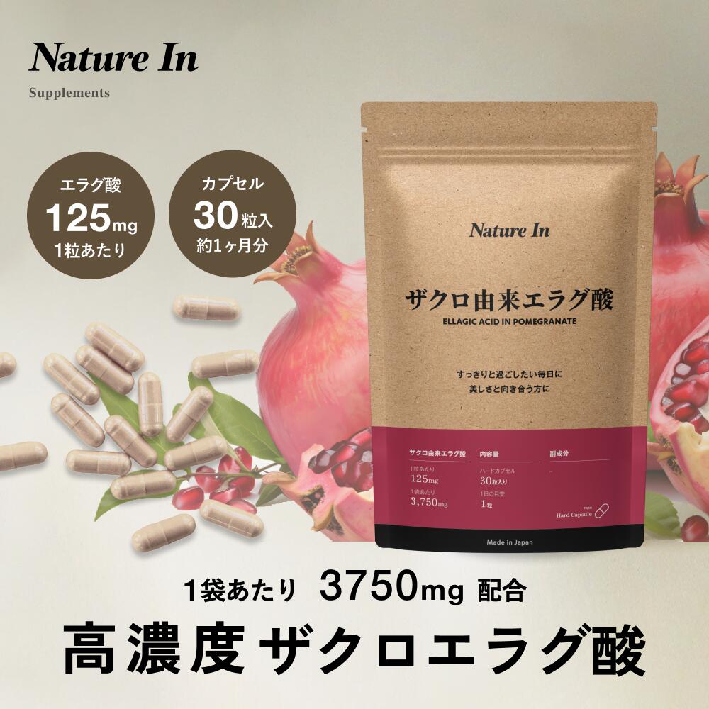 楽天市場】【14日~15日 5％OFFクーポン! 】ザクロ粒 450粒入 / 30日分