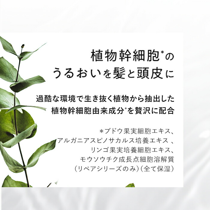 alstoncompany com