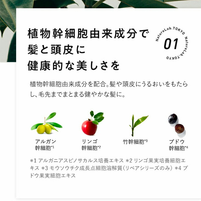 alstoncompany com