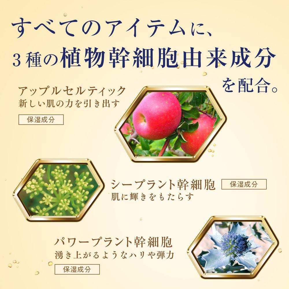 スピード発送 送料無料 リッツ リバイバル ステム7 美容クリーム 50g 植物幹細胞 コスメ エイジングケア 保湿 高保湿 スキンケア 無添加 ステムセブン ネイチャーラボ 楽天市場店
