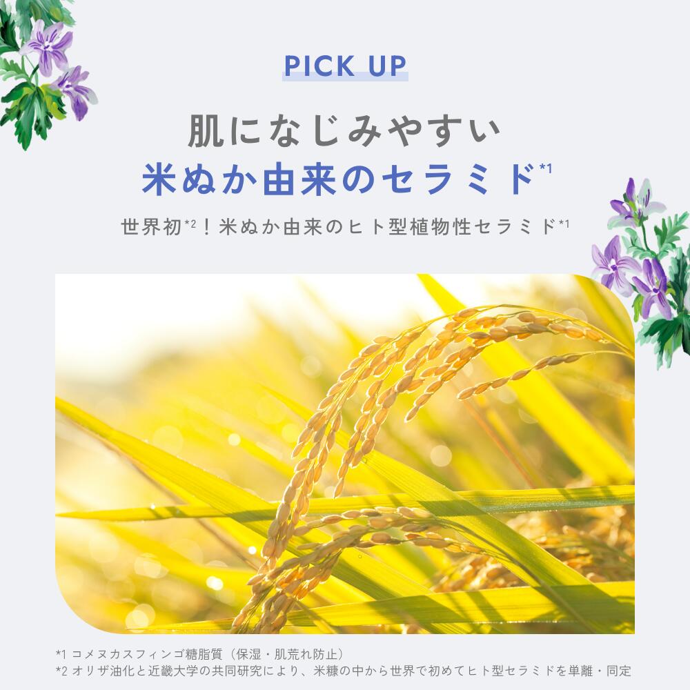 【公式】 チャントアチャーム モイストローション | セラミド アルコールフリー 化粧水 保湿 乾燥 敏感 ハーブ アミノ酸 温泉水 オーガニック セラミド 天然由来 ノンケミカル 日本 chantacharm