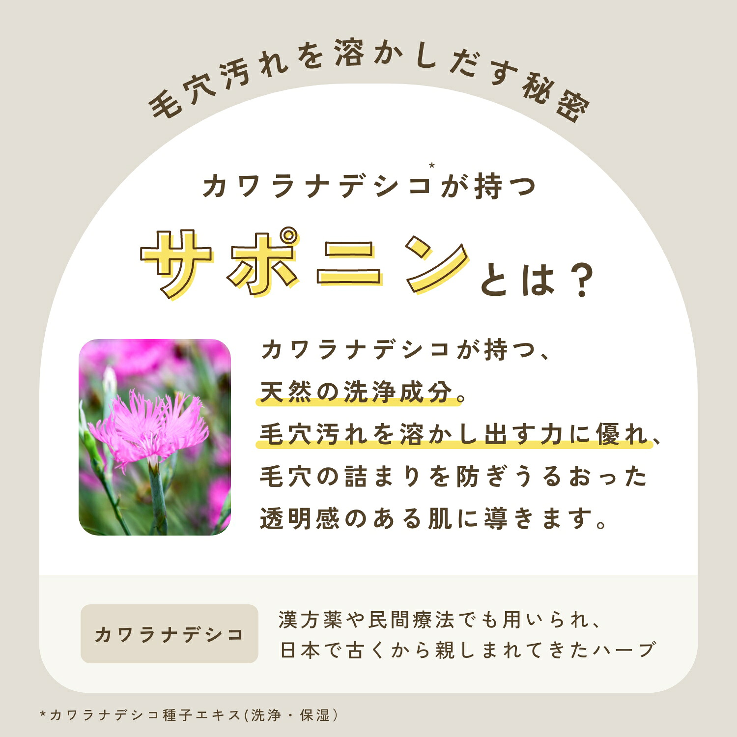 【公式】 チャントアチャーム クレンジングミルクa | W洗顔不要 まつエクOK メイク落とし ウォータープルーフ オーガニック ノンケミカル 日本 chant a charm