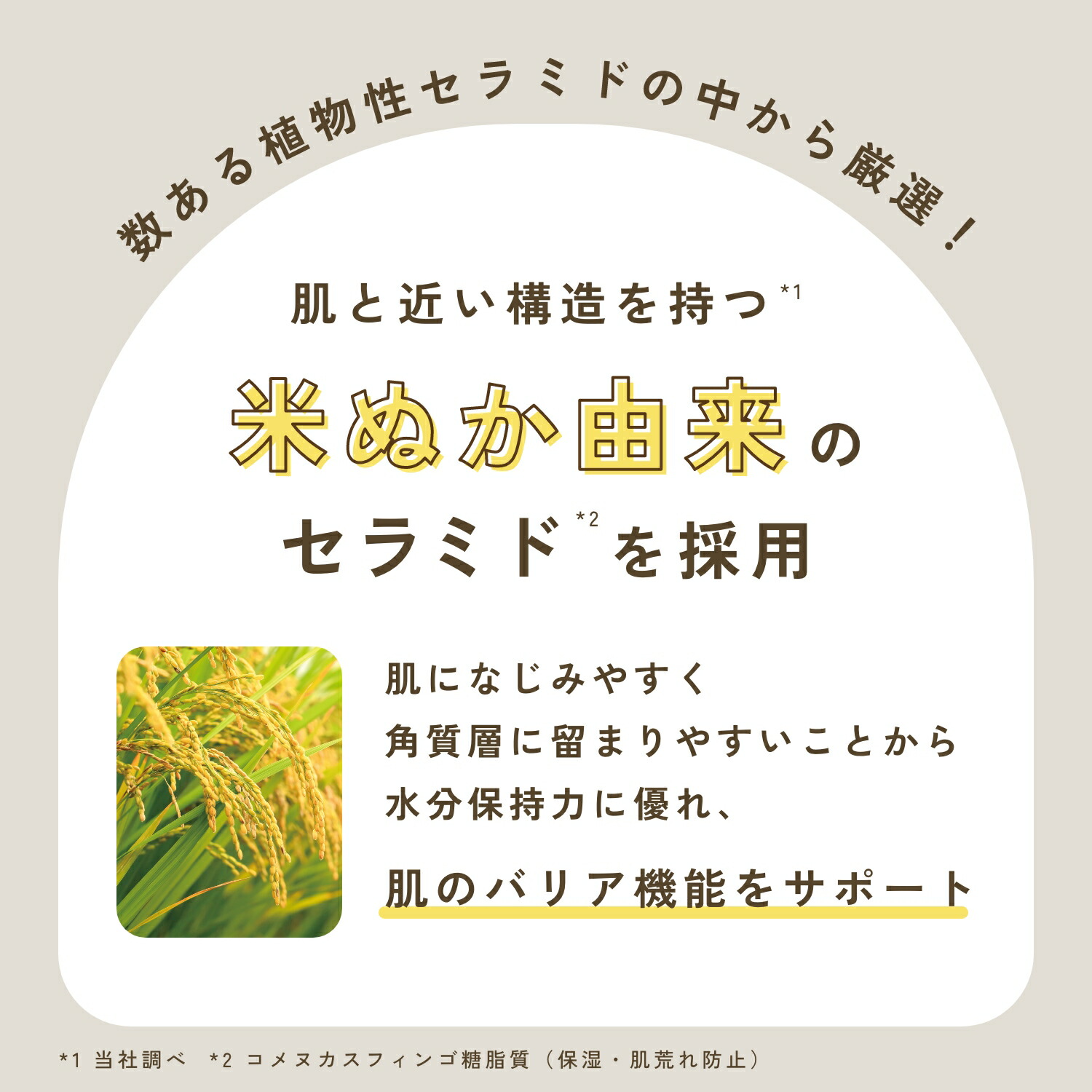 【公式】 チャントアチャーム クレンジングミルクa | W洗顔不要 まつエクOK メイク落とし ウォータープルーフ オーガニック ノンケミカル 日本 chant a charm