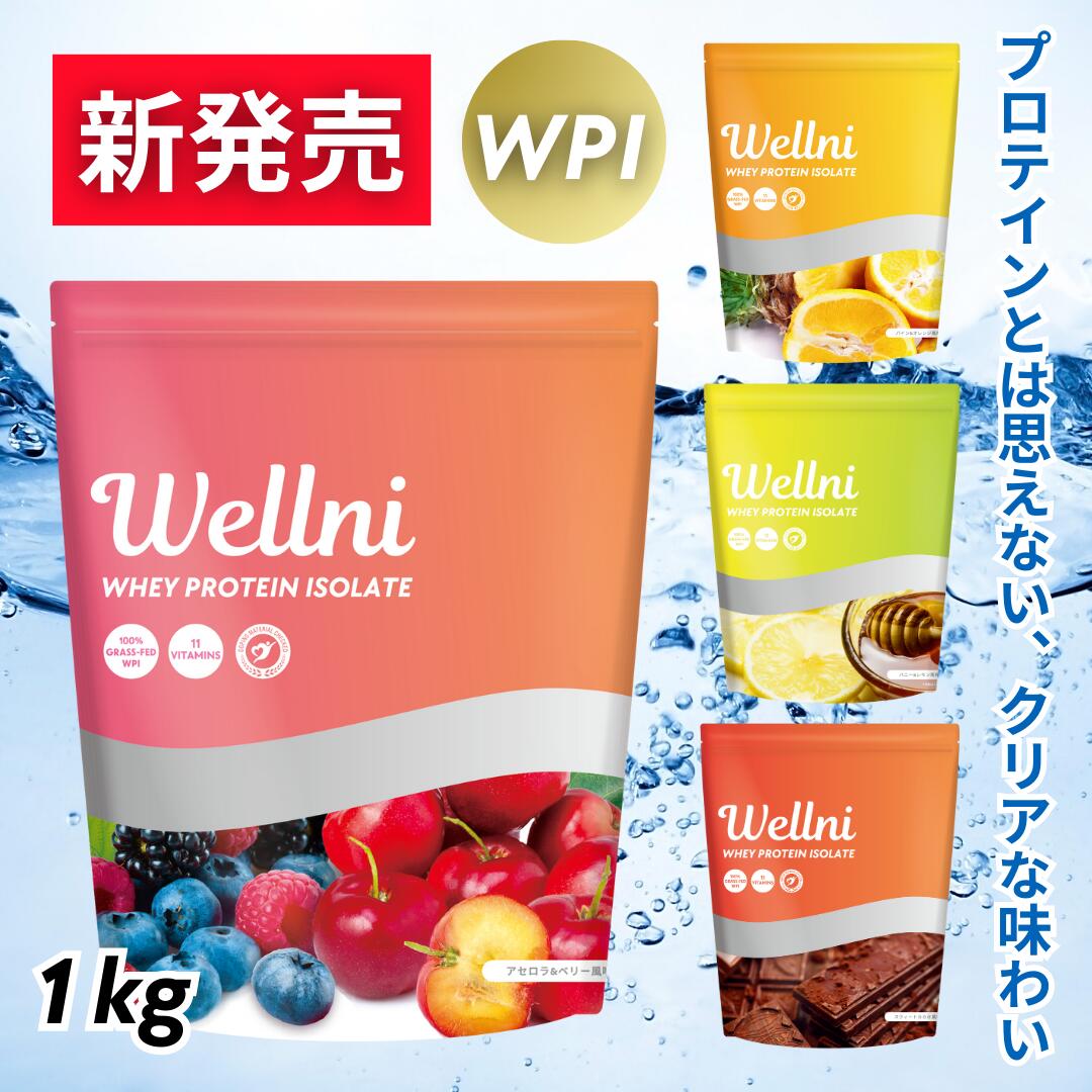 楽天市場】Wellni ウェルニ SPEED ホエイ プロテイン 1kg メロン
