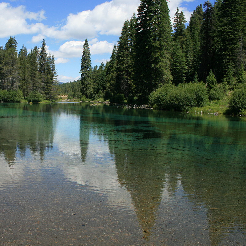 live イースリーライブ afa カプセル 60粒 サプリメント オーガニック ナチュラル スーパーフード 女性 サプリ 美容 疲労回復 ビタミン ミネラル Mavipconstrutora Com Br