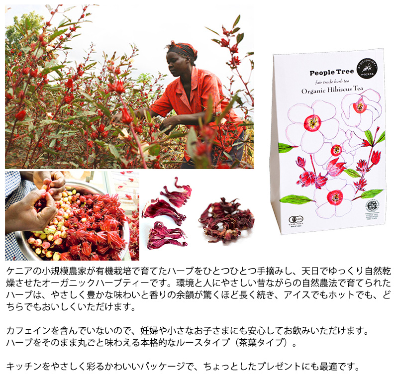 楽天市場 People Tree ピープルツリー オーガニックハーブティー ルース ハーブティー 茶葉 カモミール レモングラス ハイビスカス フェアトレード カモミール ハイビスカスティー ノンカフェイン Natu Robe