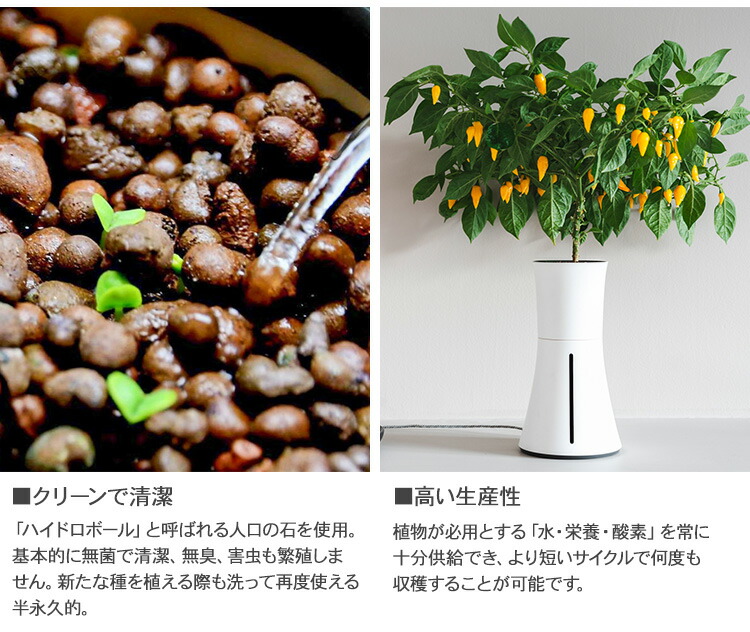 市場 Botanium ボタニアム 300ml 液体栄養素 観葉植物 家庭菜園 野菜 Led ハーブ 花 水耕栽培