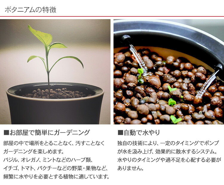 水耕栽培 キット Botanium ボタニアム 自動散水式プランター 栽培キット かわいい おしゃれ 初心者 室内 簡単 ハーブ 容器 バジル ハイドロ カルチャー 北欧 インテリア 人気 花 あす楽対応 Umu Ac Ug
