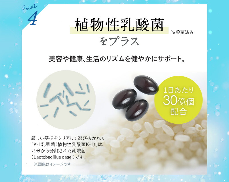 プラセンタ乳酸菌プラス3袋セット