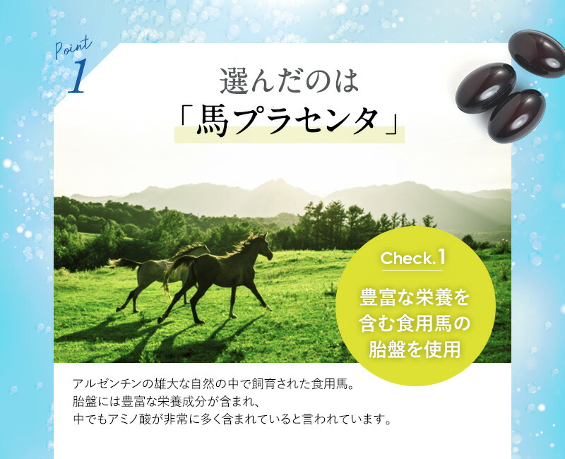 プラセンタ乳酸菌プラス3袋セット