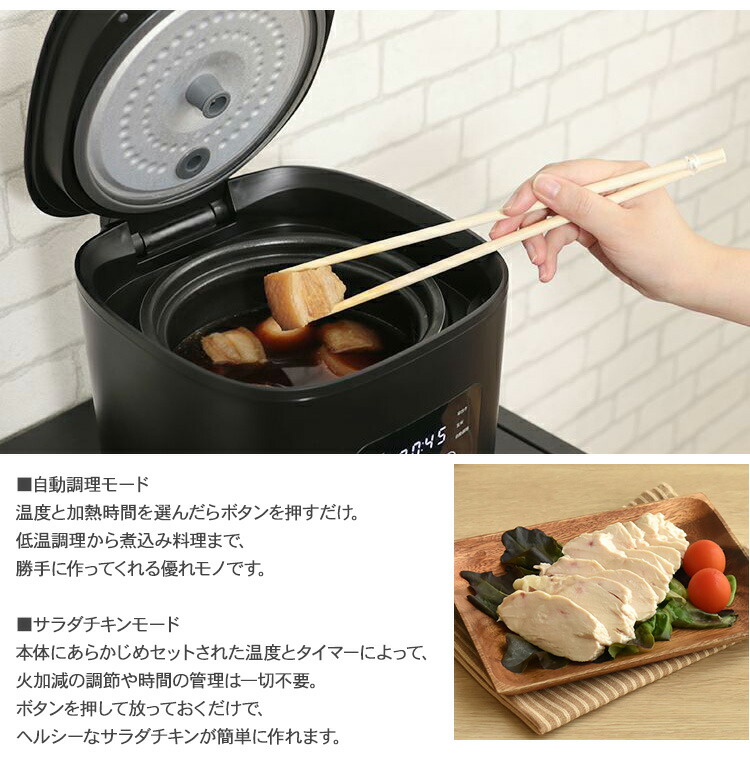 Plus More プラスモア 糖質カット炊飯器 レシピブック付 調理家電 調理器具 便利 隙間時間 タイマー 予約 家事 料理 早炊き シンプル 糖質カット ダイエット キッチン家電 キッチン用品 おしゃれ Liceochiloe Cl