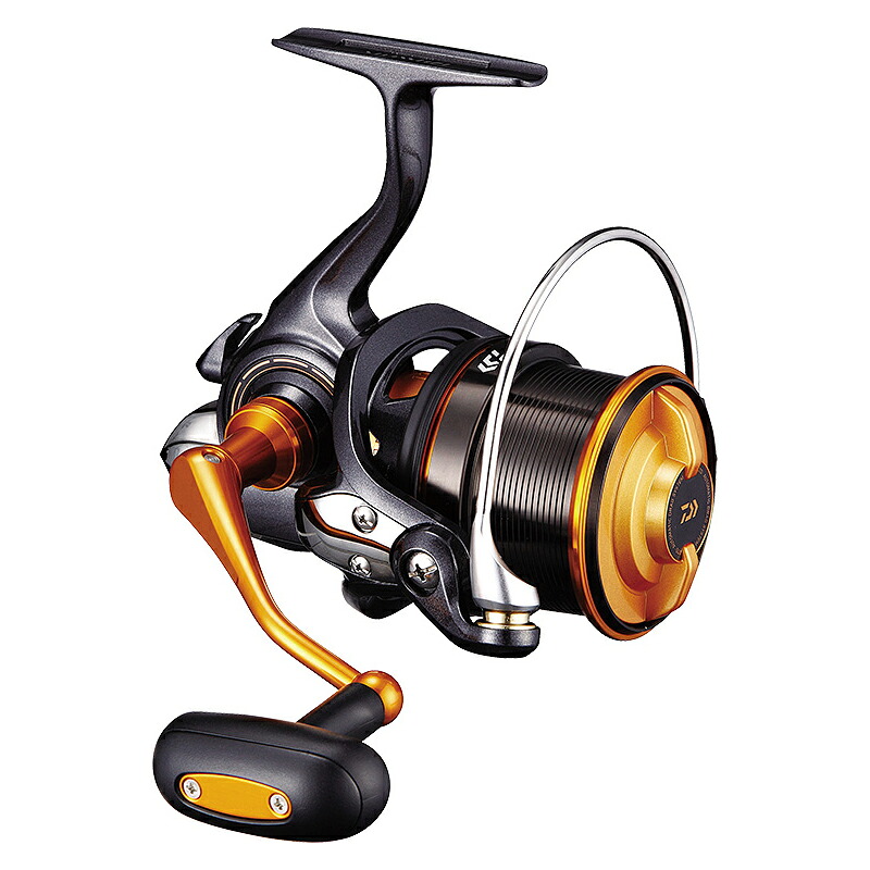ダイワ(Daiwa) 19キャスティズム 25 15PE 00067201