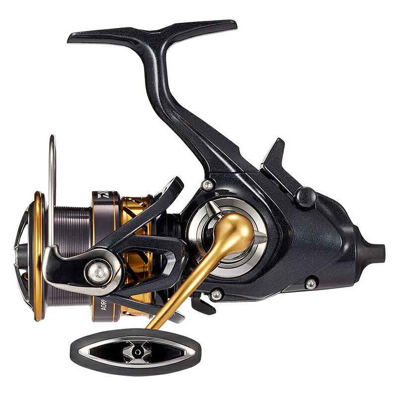 ダイワ(Daiwa) 19アオリマチック BR LT3000 00065703 6,675円
