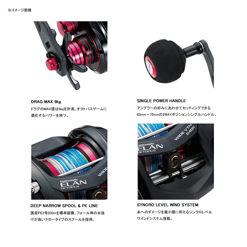 テイルウォーク tail walk ELAN OCTOPUS 右ハンドル VTN WIDE 64BR