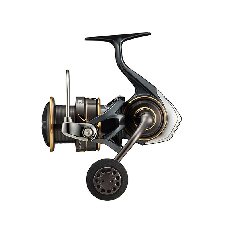 ダイワ(Daiwa) 22 CALDIA(カルディア) SW 6000S-H 00065051