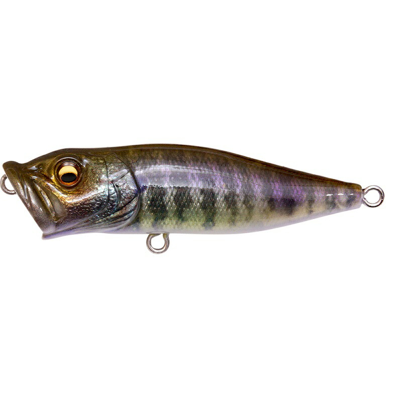 楽天市場】 メガバス(Megabass) POP MAX(ポップマックス) 78.0mm GG