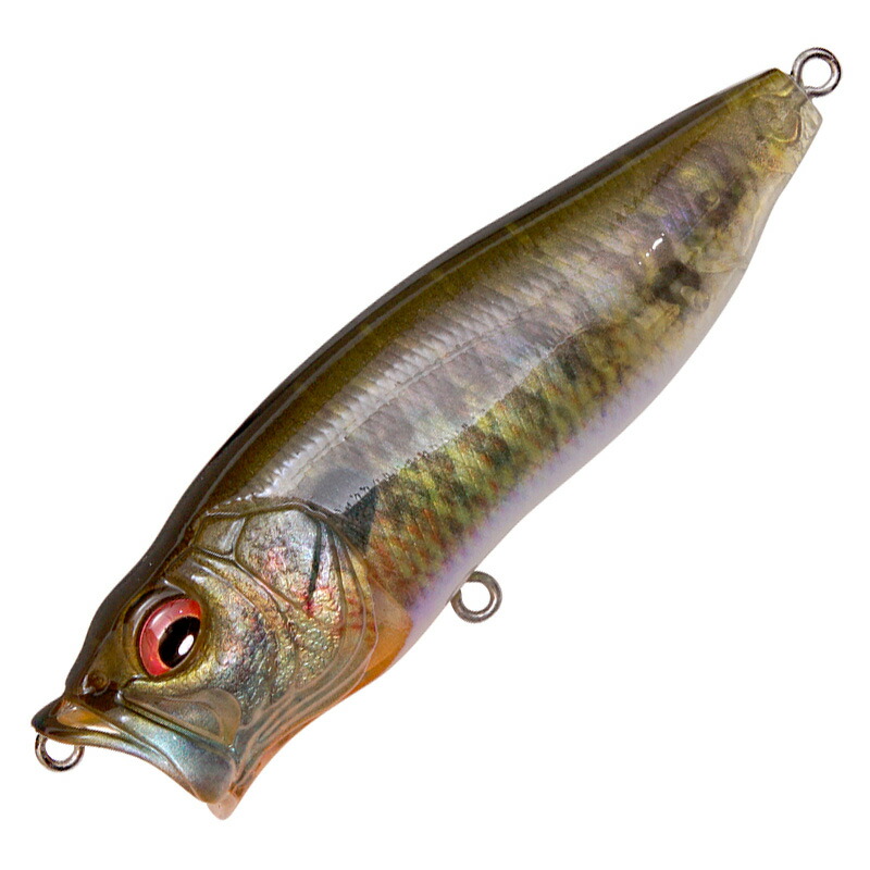 メガバス　ポップマックス 楽天市場】メガバス Megabass ポップマックス POP MAX : Japan Bass Tackle