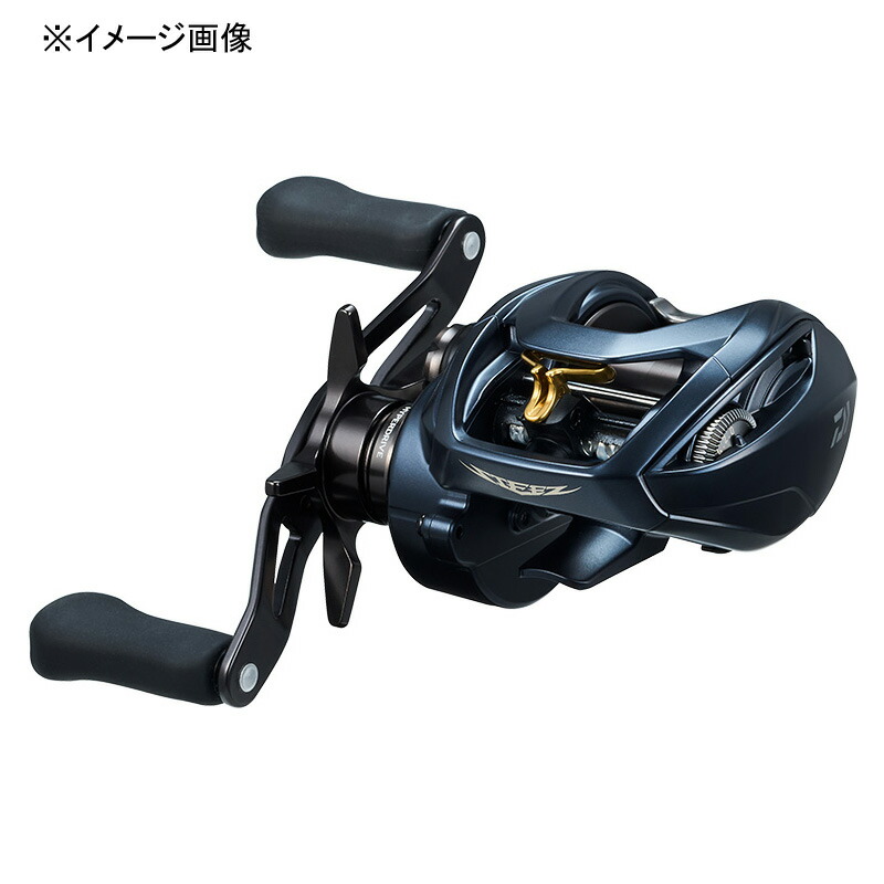 （予約6月入荷） ダイワ(Daiwa) STEEZ AII TW 1000HL(スティーズA2TW) 左ハンドル 00613385