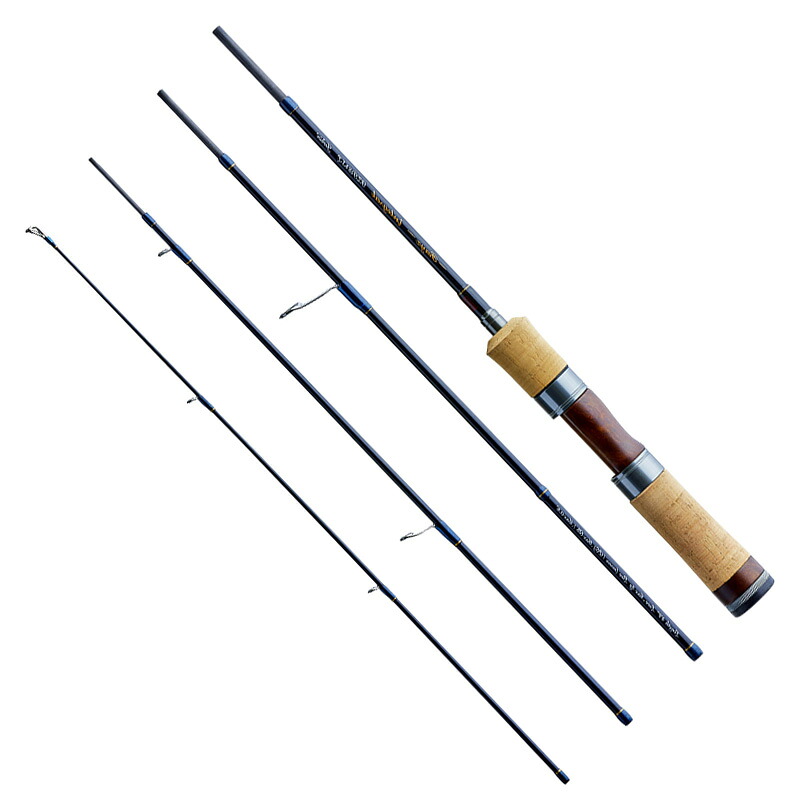 拾リュウ(天龍) レイズ インテグラル RZI484S-L(スピニング・4天下太平)