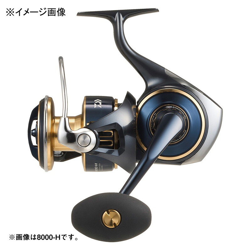 ダイワ(Daiwa) 25ソルティガ 10000-H 10000-H 00065083
