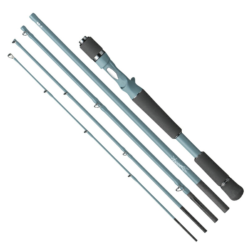 ダイワ(Daiwa) スワッガー C66M-5(ベイト・5天下太平) C66M-5 05806622