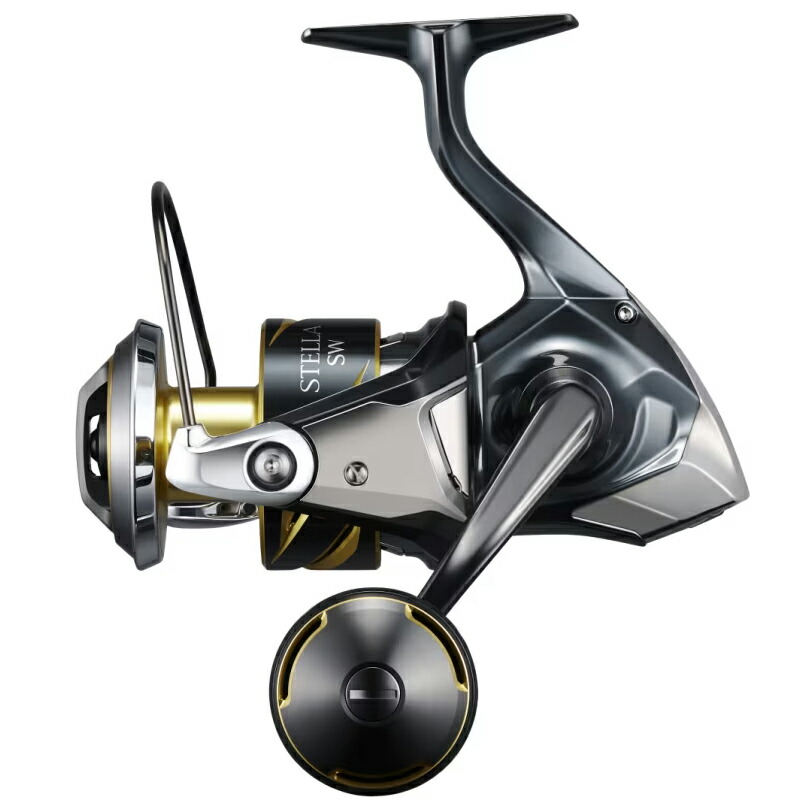 シマノ(SHIMANO) 25 中心柱SW 8000PG 8000PG 047540