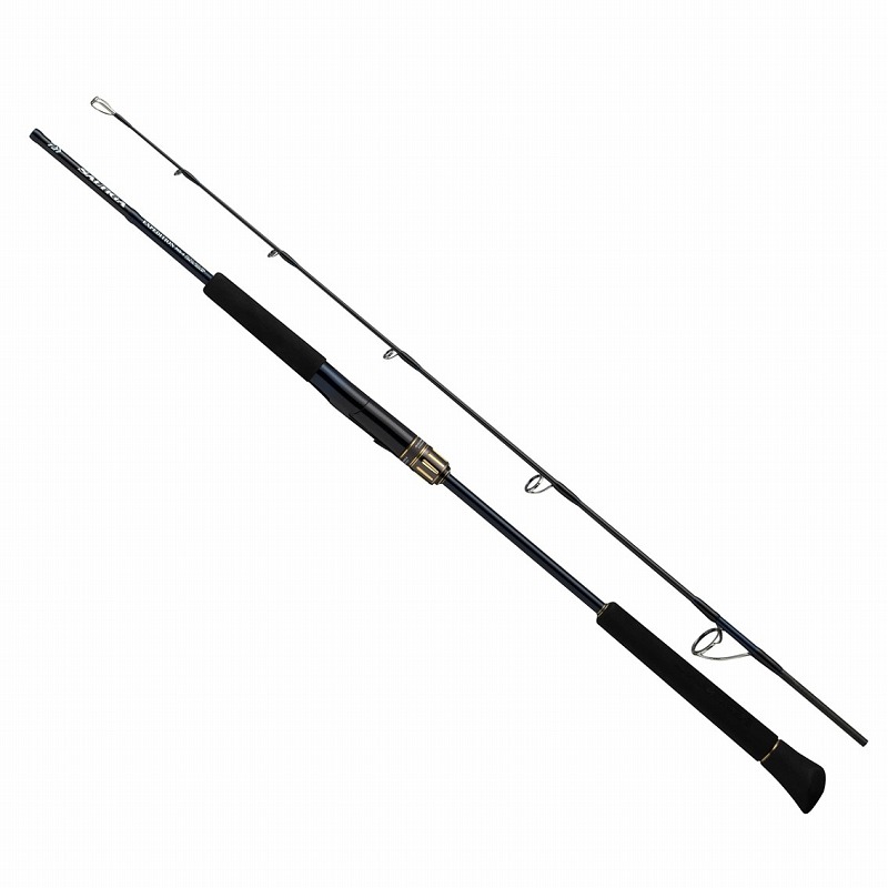 ダイワ(Daiwa) ソルティガ J EXP 50S-6(スピニング・2天下太平) 50S-6 05804262