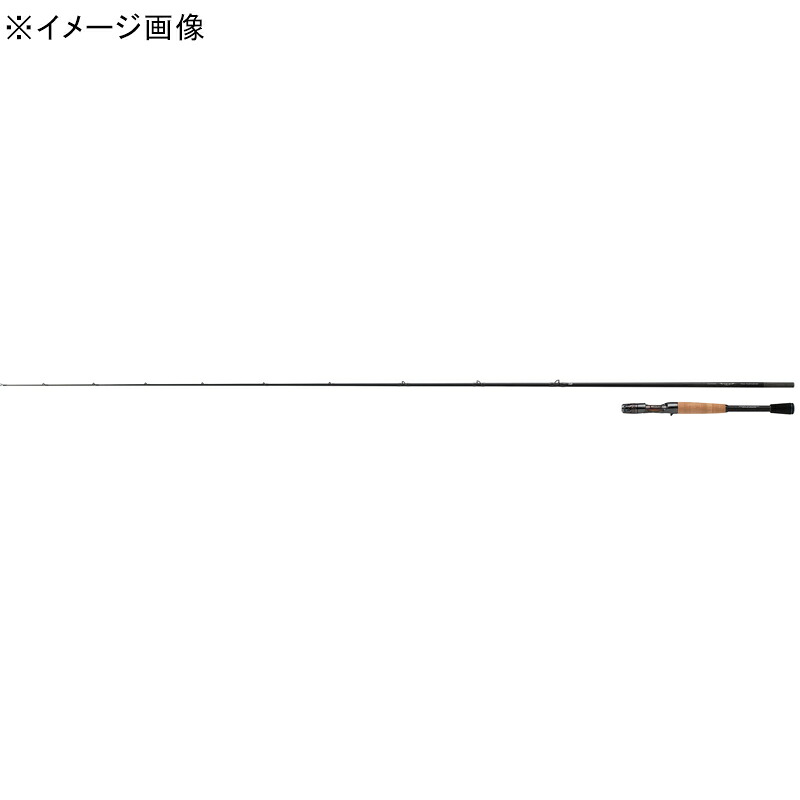 ダイワ(Daiwa) STEEZ(スティーズ) C71MH+ -SV C71MH+ -SV 05806221