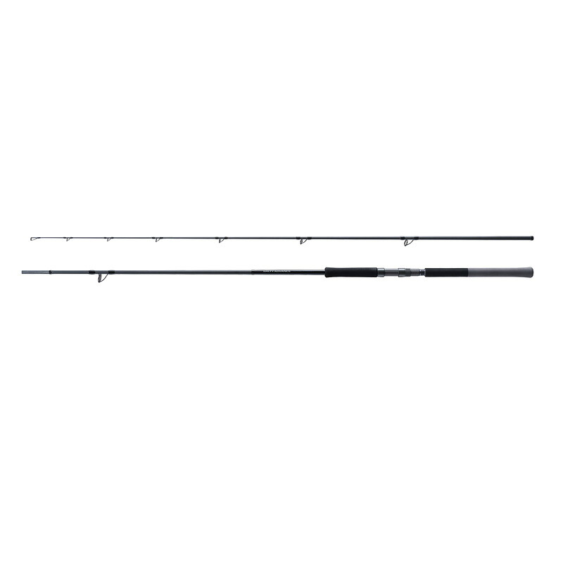 シマノ(SHIMANO) 25ソルティーアドバンス ショアジギング S100H S100H 274649 【個別送料品】 大型便