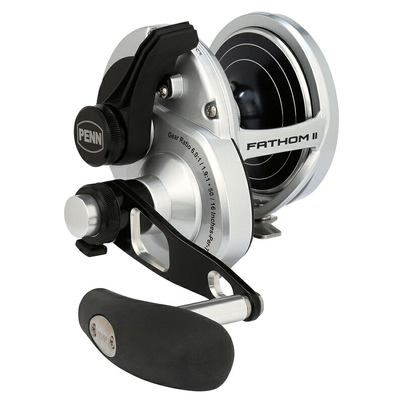 PENN(ペン) ファゾムII 2スピード 40NLD2 ナロースプール 右ハンドル 40NLD2 1645192