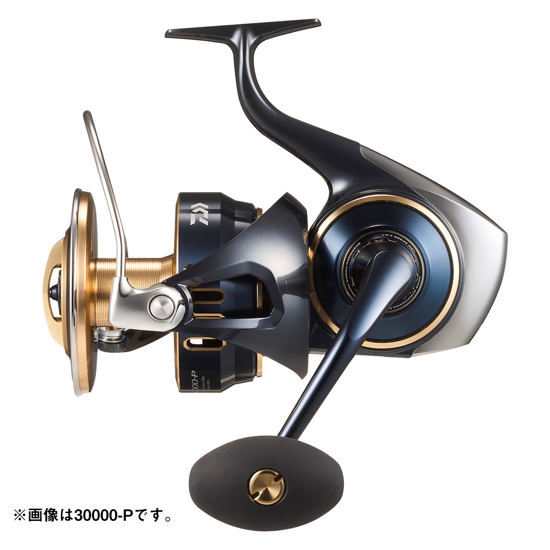 ダイワ(Daiwa) 25ソルティガ 30000-H 30000-H 00065091