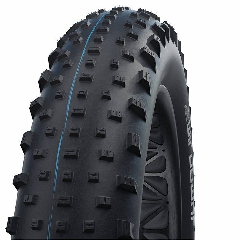 タイヤ 特別訳あり特価 Etrto 110 559 サイクルタイヤ ファットバイク Mtb用 正規品 ジャンボジム Schwalbe シュワルベ 26 4 40 Sw 02 ブラック Www Kottakkalayurvedagulf Com