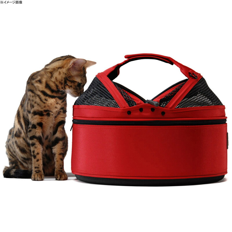 しつけ Lager Corporation sleepypod Atom(スリーピーポッド アトム ...