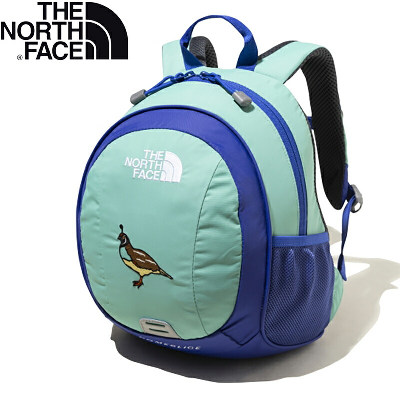 特価キャンペーン THE NORTH FACE ザ ノース フェイス Kid's HOMESLICE キッズ ホームスライス 8L ワサビ WS